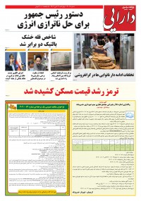 روزنامه دارایی شماره 2007